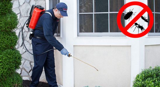 Kadıköy Uçan Haşere İlaçlama böcek ilaçlama ve haşere kontrolü — ilaclama-tr.com
